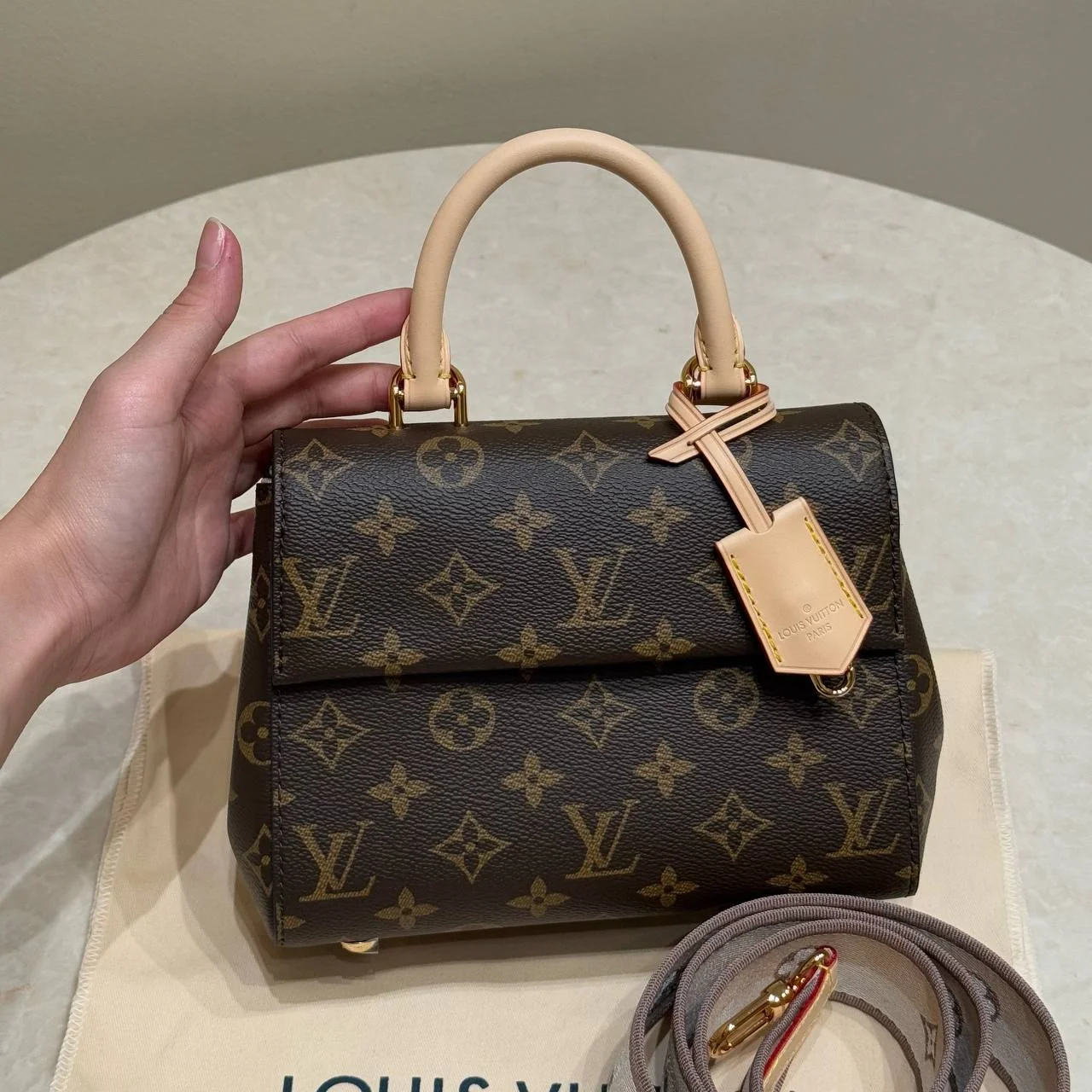 Жіноча сумка-Louis Vuitton